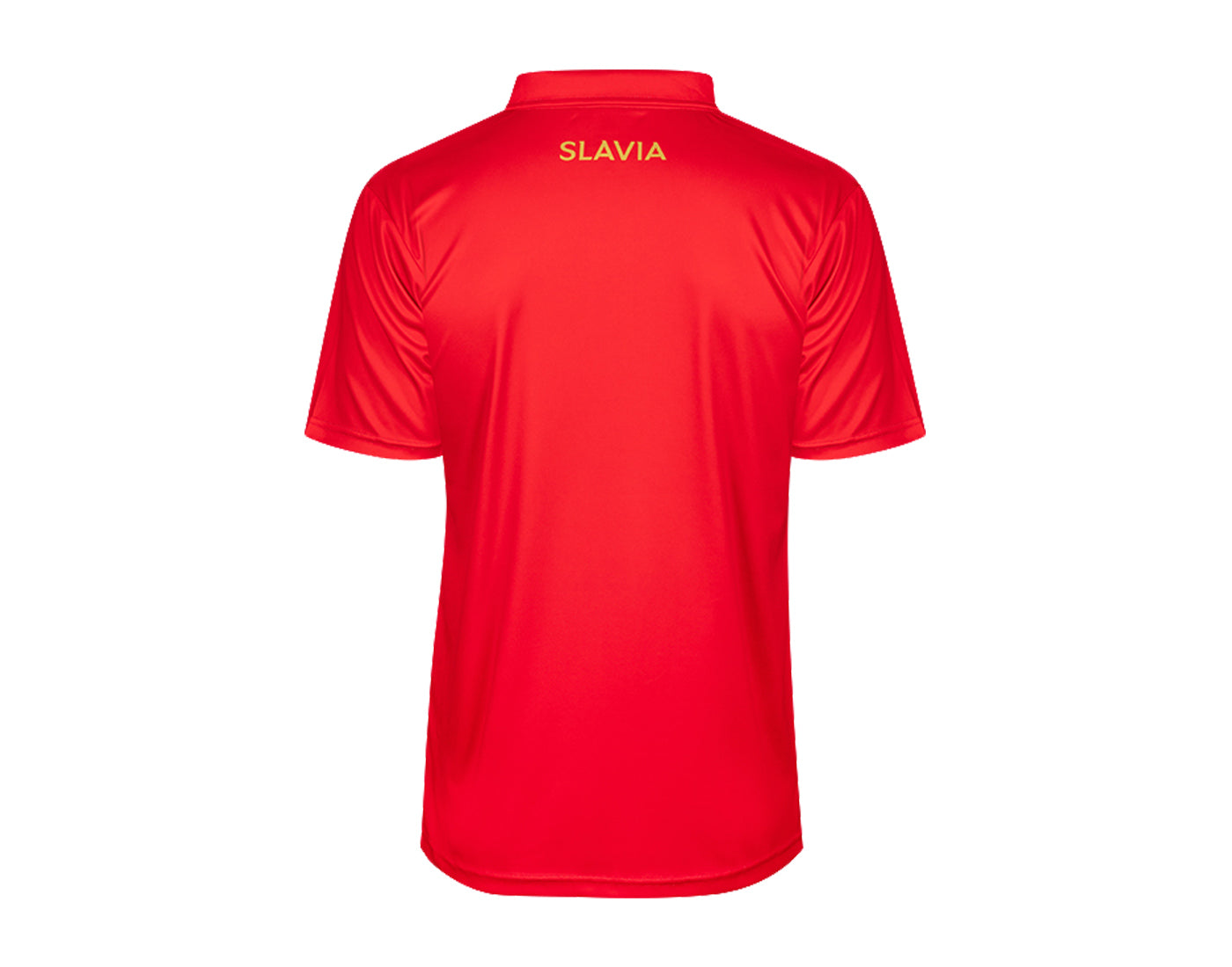 Hráčský dres NIDELO Player shirt L/S Flers sublimation 01