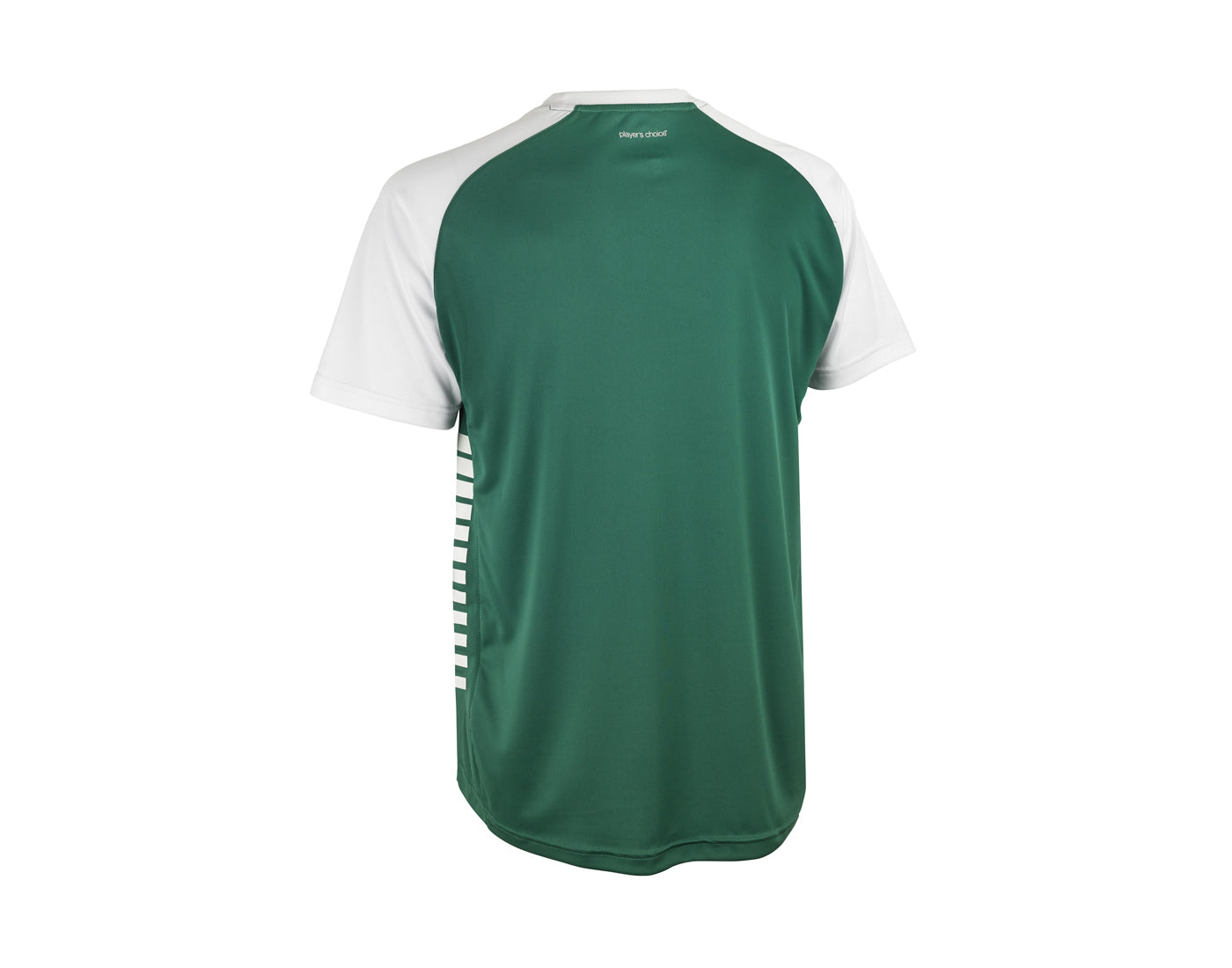 Hráčský dres Select Player shirt S/S Pisa X zeleno bílá